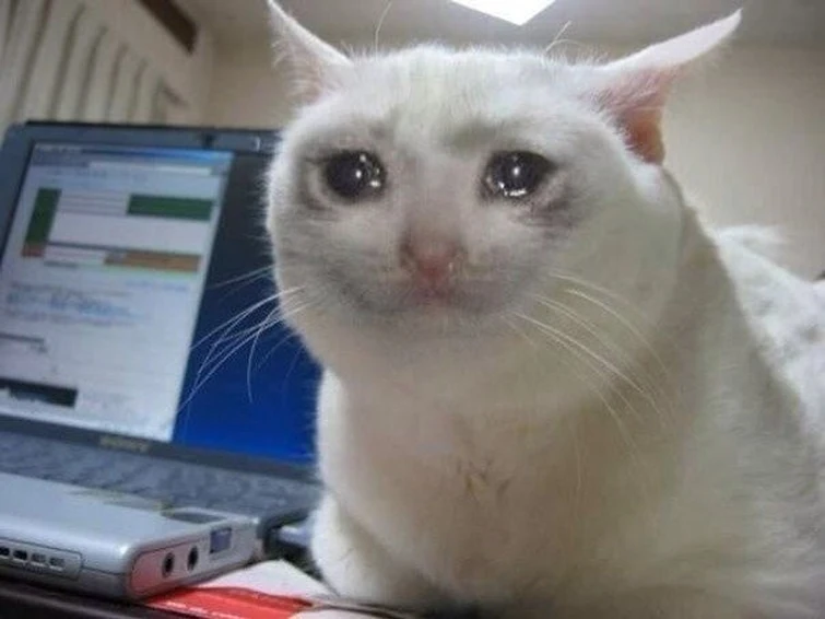 The Crying Cat Meme: Origins, Popularity, and Cultural Impact